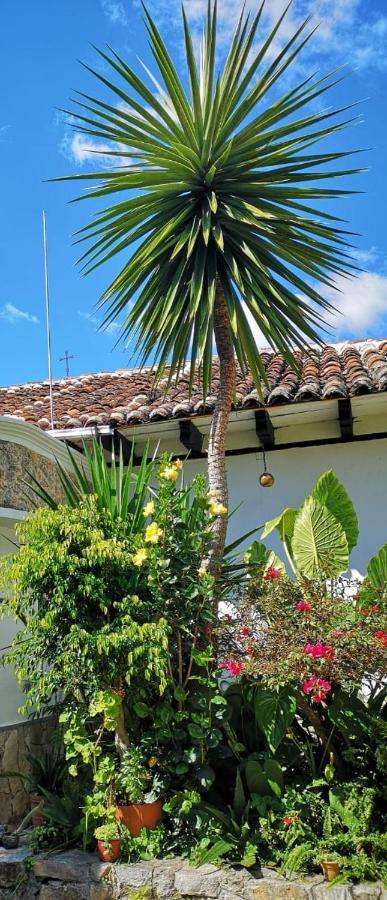 Hotel Posada Casa Juana San Cristobal de las Casas Exterior photo